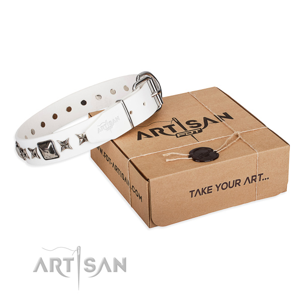Everyday use full grain natural leather dog collar with decorations