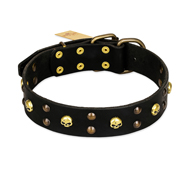 "Heavy Metal" Leather Central Asian Shepherd Collar with Skulls and Studs 1 1/2 inch (40 mm)