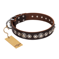 "Step and Sparkle" FDT Artisan Glamorous Studded Brown Leather Central Asian Shepherd Collar