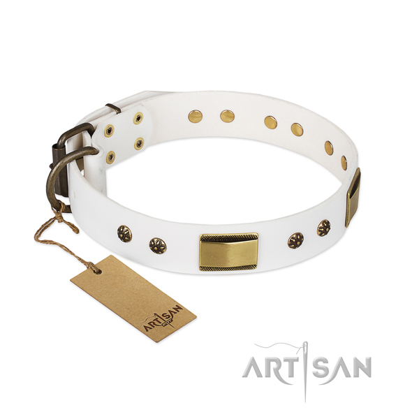 Unusual full grain leather collar for your pet
