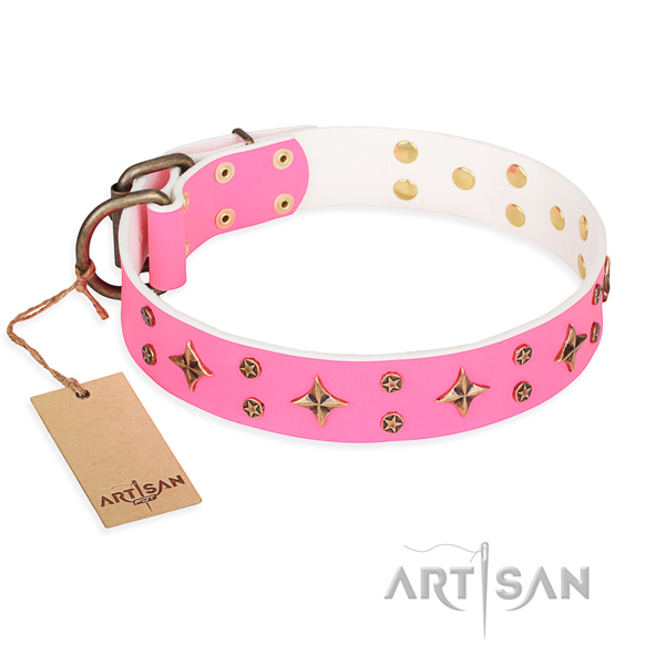 Comfortable wearing dog collar of top quality natural leather with adornments