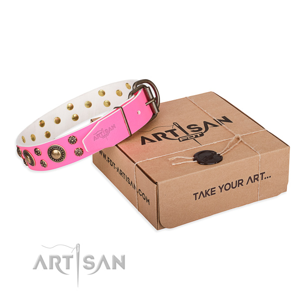 Everyday walking dog collar of strong leather with decorations