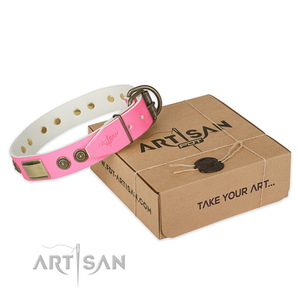 Strong traditional buckle on dog collar for easy wearing