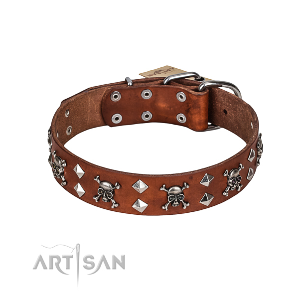 Stylish walking dog collar of high quality leather with studs
