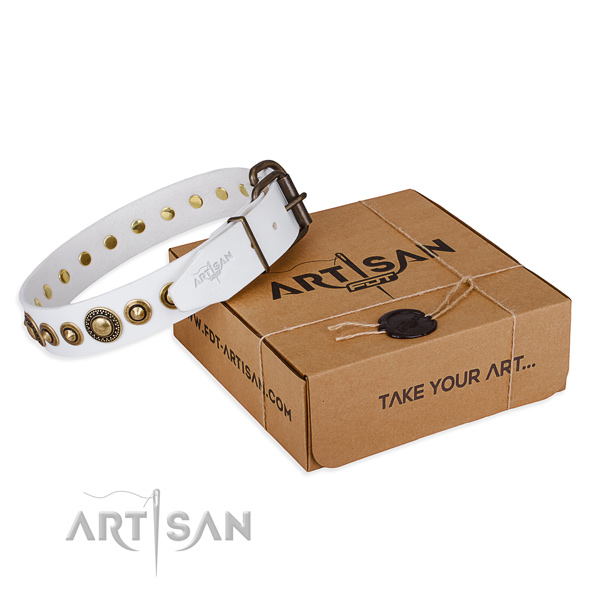 High quality full grain genuine leather dog collar made for basic training