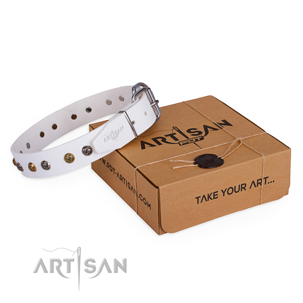 Handy use dog collar with Extraordinary rust-proof adornments