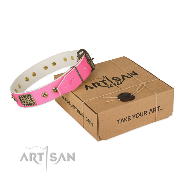 Corrosion proof hardware on dog collar for basic training
