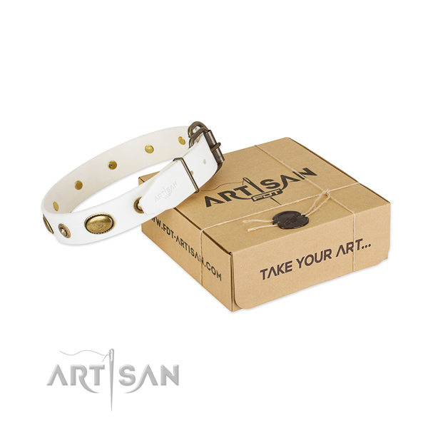 Top quality leather collar for your attractive pet