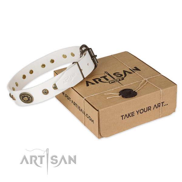 Rust resistant traditional buckle on genuine leather dog collar for stylish walking
