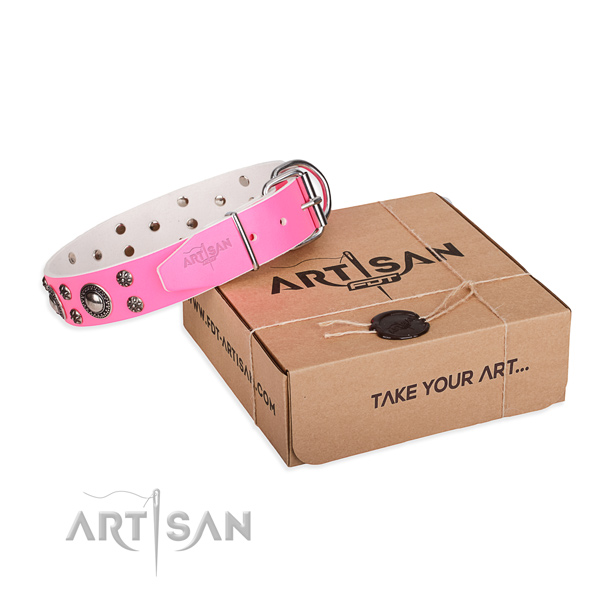 Fancy walking dog collar of top notch full grain natural leather with embellishments
