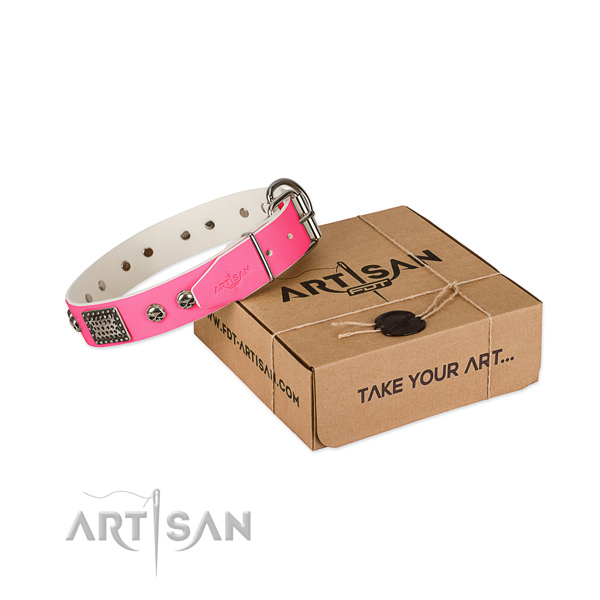 Rust-proof buckle on dog collar for comfy wearing