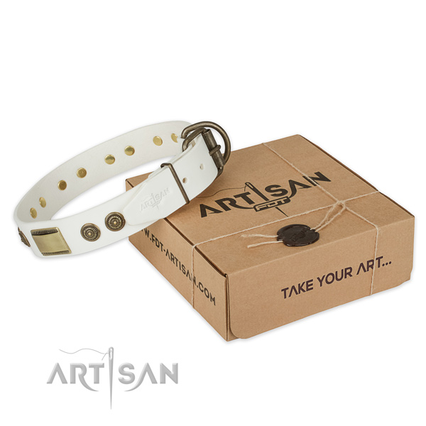 Strong hardware on leather dog collar for fancy walking