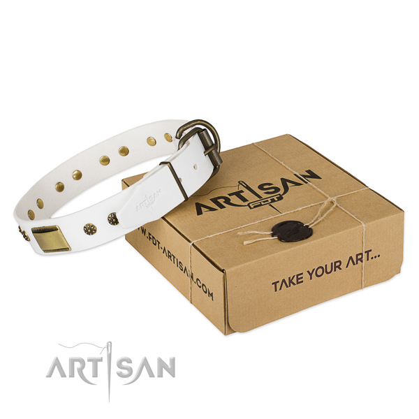 Impressive leather collar for your lovely four-legged friend