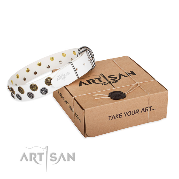 Daily walking dog collar of fine quality full grain genuine leather with adornments