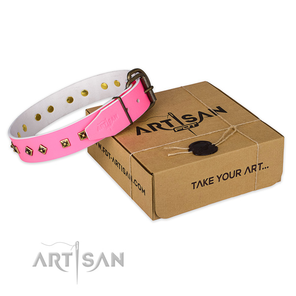 Corrosion resistant buckle on full grain natural leather dog collar for everyday use
