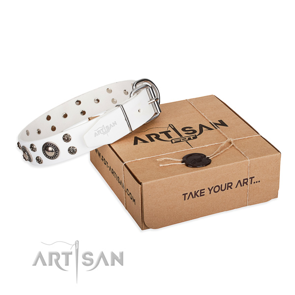 Daily use dog collar of durable full grain natural leather with decorations