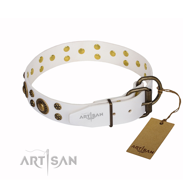 Daily walking studded dog collar of durable full grain genuine leather