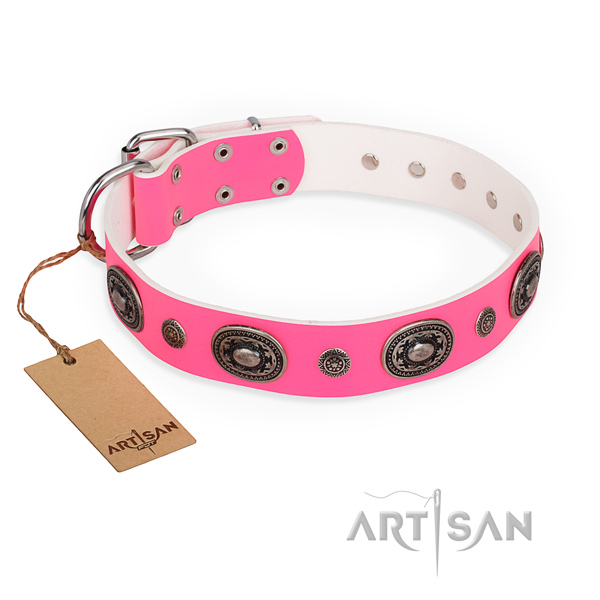 Quality leather dog collar created for fancy walking