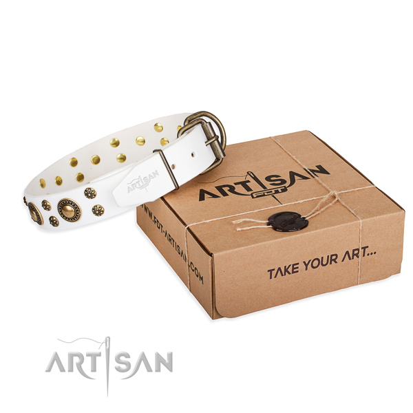 Stylish walking dog collar of reliable natural leather with decorations