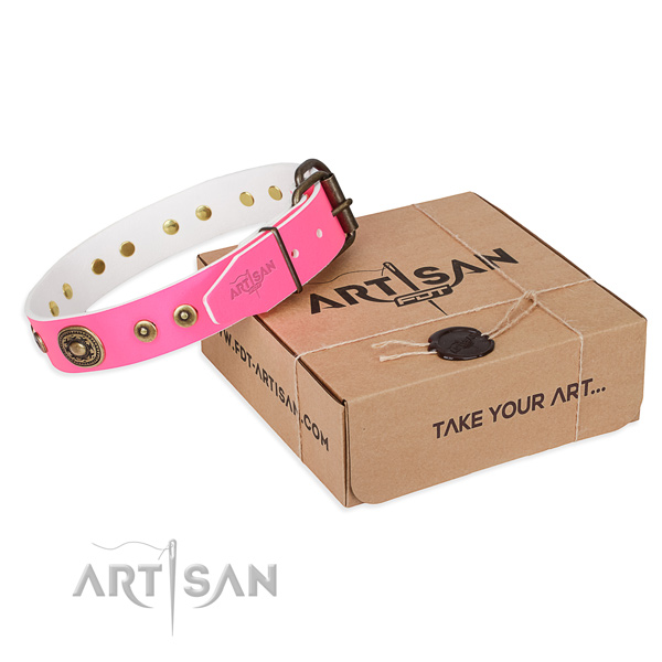 Full grain leather dog collar made of gentle to touch material with reliable buckle