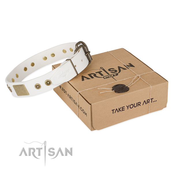 Corrosion proof D-ring on full grain genuine leather dog collar for everyday use
