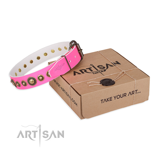 Best quality leather dog collar created for stylish walking