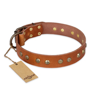 "Spring Flavor" FDT Artisan Adorned Leather Central Asian Shepherd Collar with Old Bronze-Plated Engraved Studs