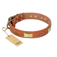 "Enchanting Spectacle" FDT Artisan Tan Leather Central Asian Shepherd Collar with Old Bronze Look Plates and Round Studs