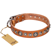 "Daily Chic" FDT Artisan Tan Leather Central Asian Shepherd Collar with Decorations