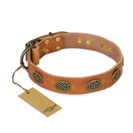 "Magic Amulet" FDT Artisan Tan Leather Central Asian Shepherd Collar with Oval Studs
