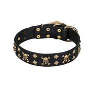 "Jolly Rojer" FDT Artisan Leather Central Asian Shepherd Collar with Pirate Skulls and Studs - 1 1/2 inch (40 mm) wide
