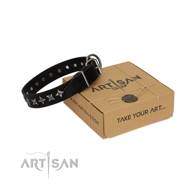 Stylish walking dog collar of quality natural leather with studs