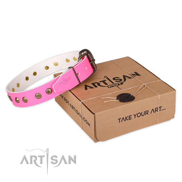 Durable buckle on genuine leather collar for your lovely dog