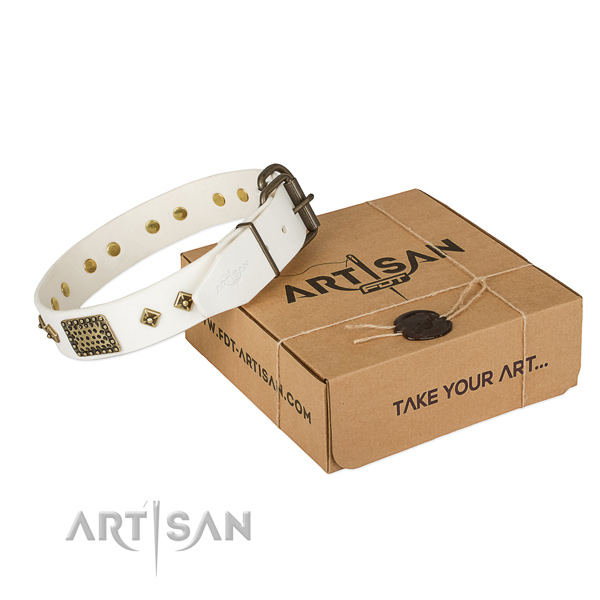 Unique full grain natural leather collar for your attractive four-legged friend