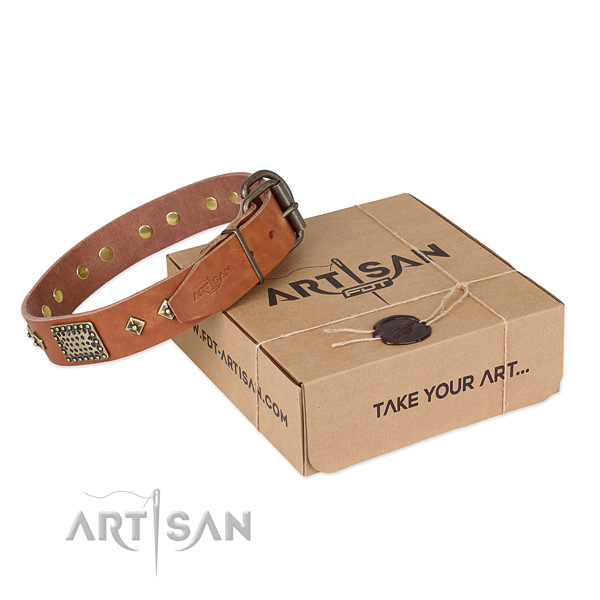 Embellished genuine leather collar for your stylish pet