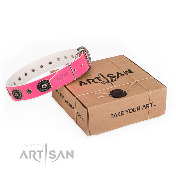 Quality genuine leather dog collar handcrafted for daily use