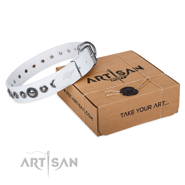 Genuine leather dog collar made of gentle to touch material with reliable buckle