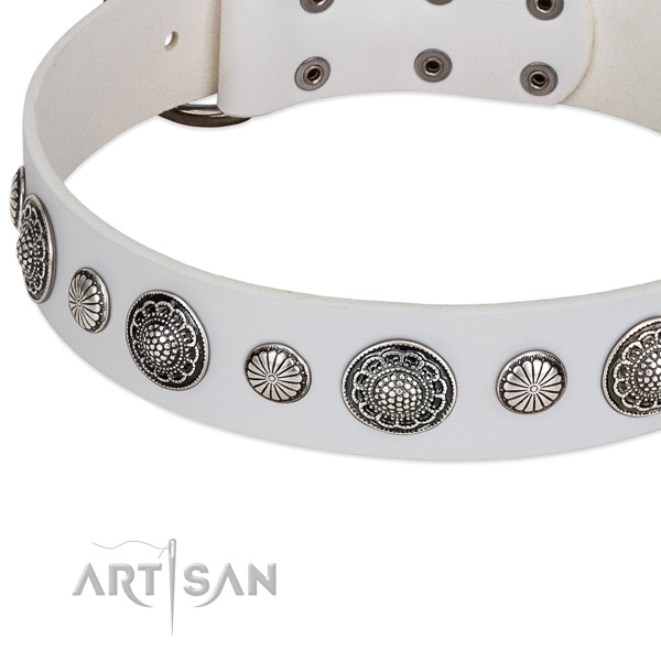 Genuine leather collar with reliable buckle for your lovely four-legged friend