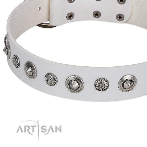 Full grain leather collar with durable buckle for your handsome pet