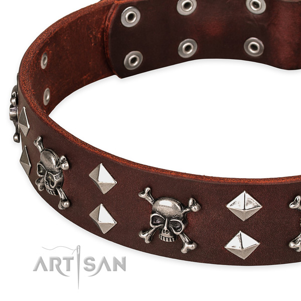Everyday use adorned dog collar of top notch natural leather
