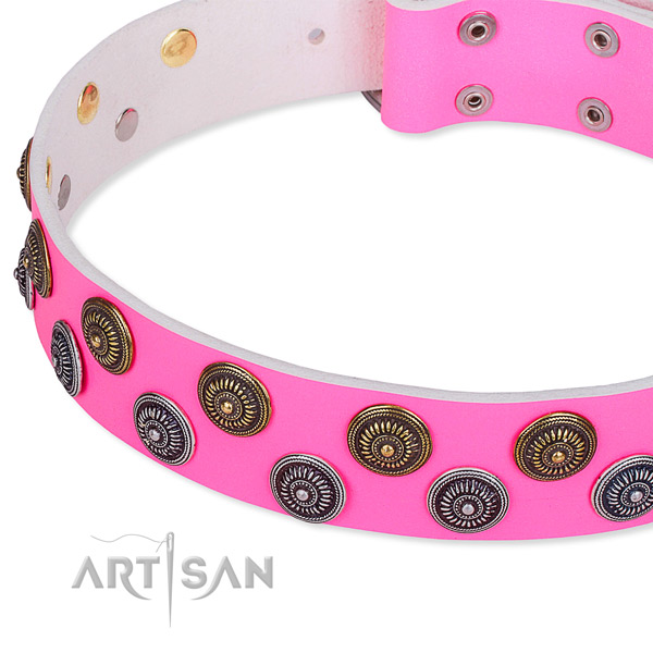 Everyday use studded dog collar of best quality full grain leather