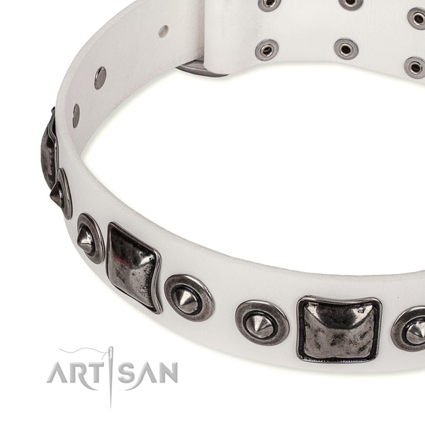 Top rate full grain genuine leather dog collar created for your impressive canine