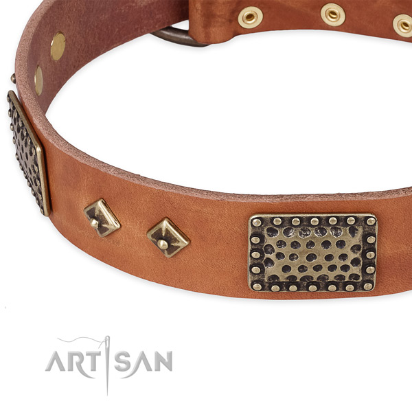 Rust resistant hardware on full grain genuine leather dog collar for your dog