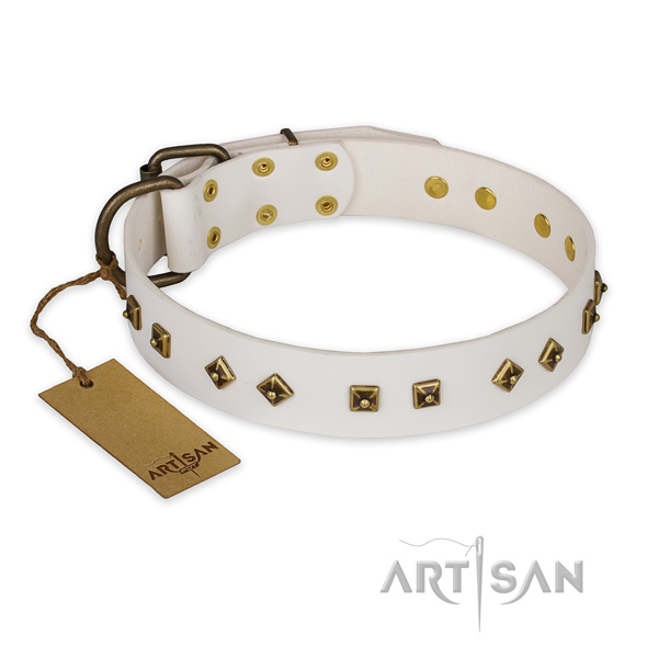 Stylish full grain natural leather dog collar with corrosion resistant buckle