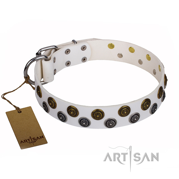 Easy wearing dog collar of high quality full grain natural leather with studs