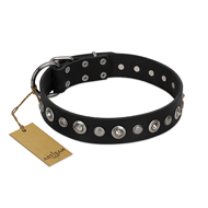 "Genteel Charm" FDT Artisan Black Leather Central Asian Shepherd Collar with Silver-like Round Conchos