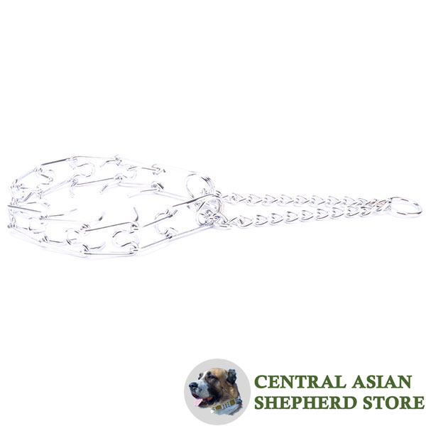 Premium-quality chrome plated steel pinch collar for obedience training