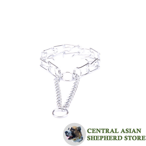 Top quality chrome plated steel prong collar for ill behaved dogs