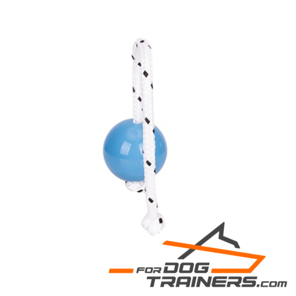 Blue ball with magnet