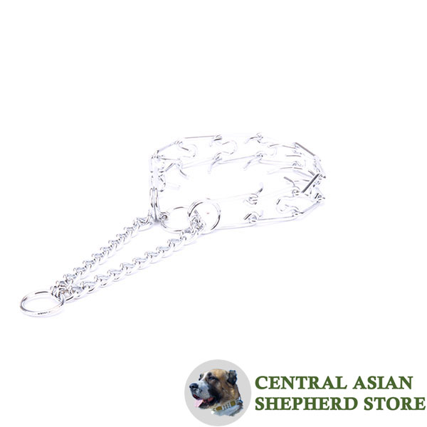 Prong collar chrome plated for aggressive dogs